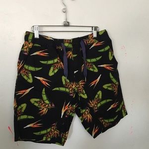 NWT DC Timeless Slim Fit SZ 32 Walking 18” Shorts